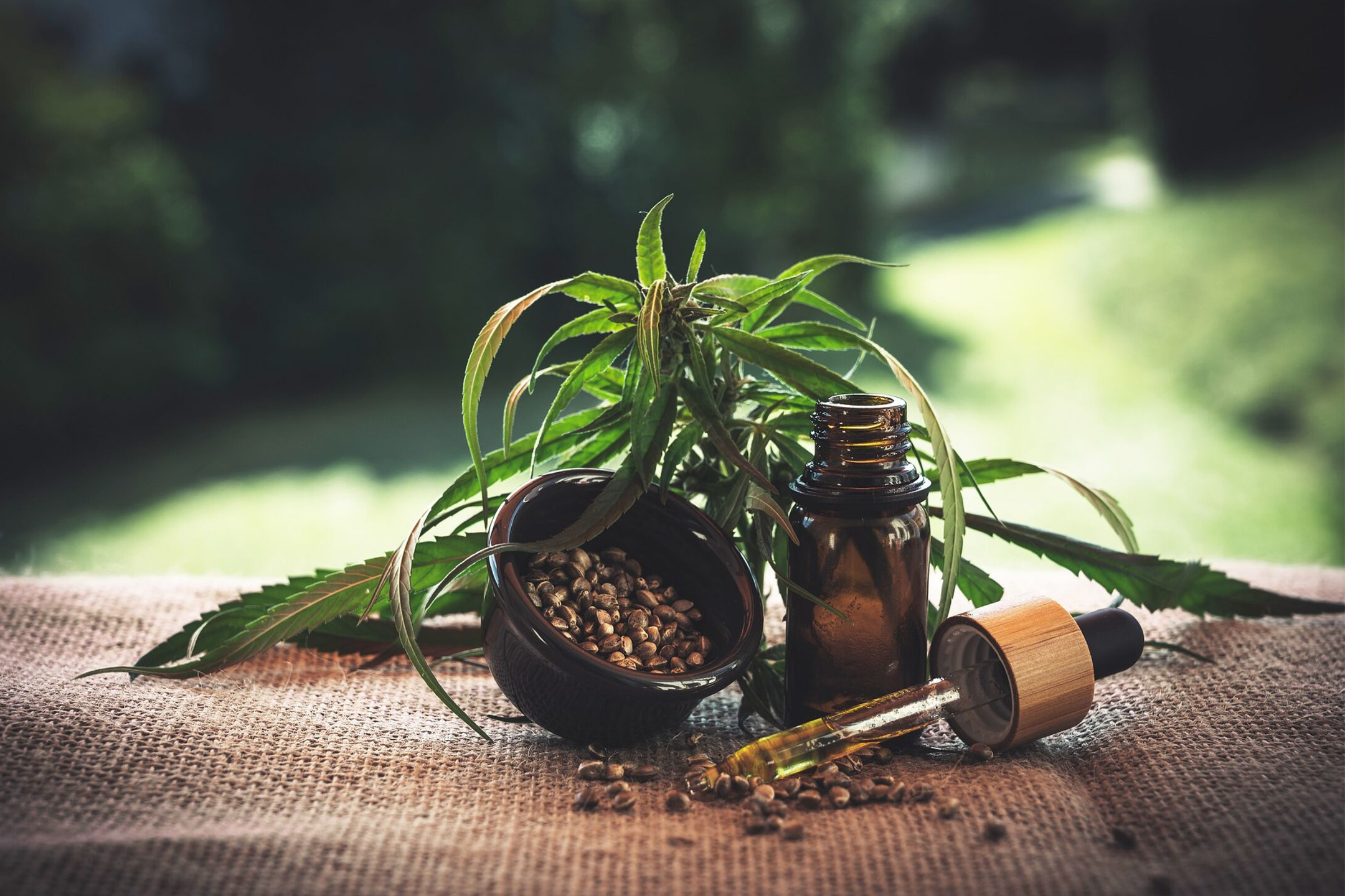 Medical Marijuana for Senior Citizens