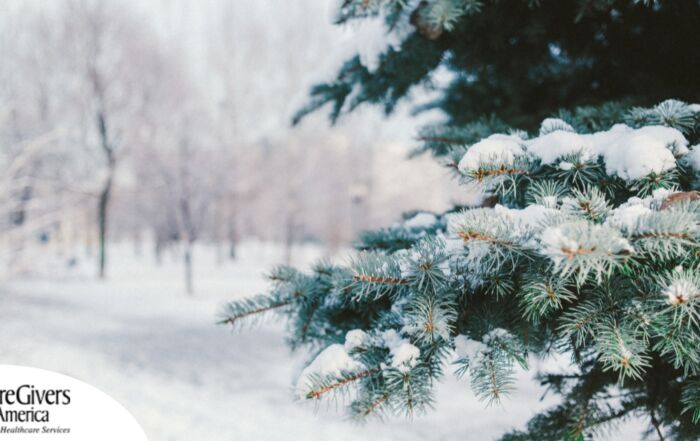 A tree and road are covered in snow representing winter and the senior safety that should be prioritized during the season.