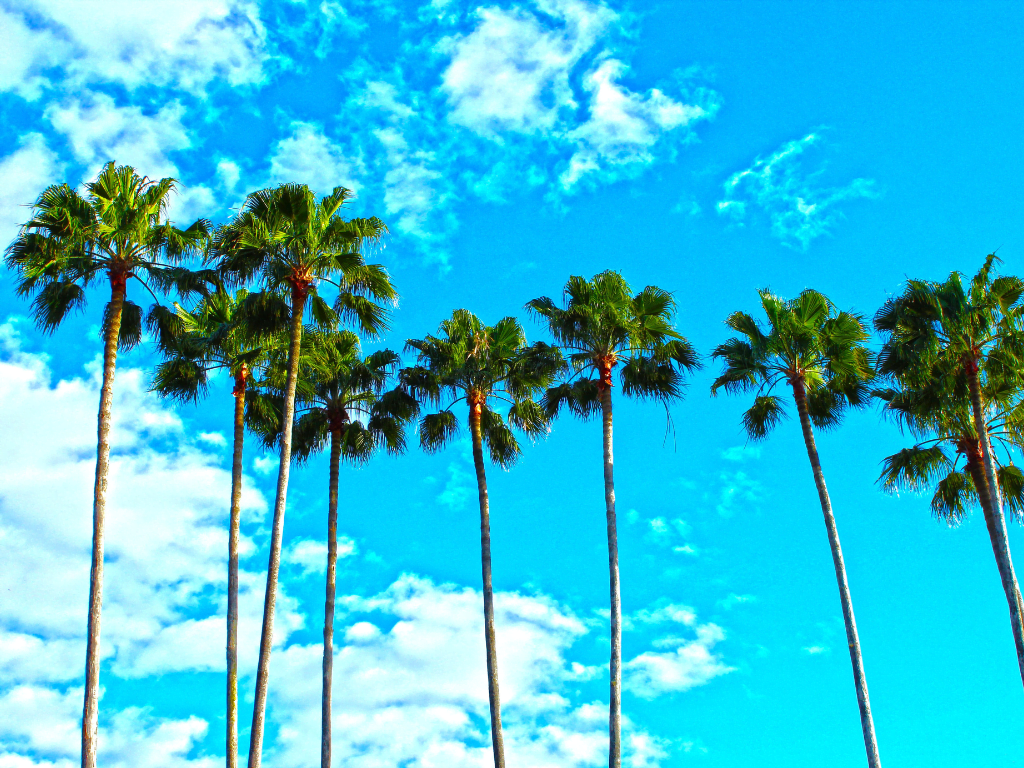 Westlake, FL