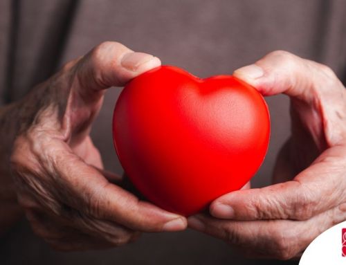 Heart Health and Aging: Small Daily Habits That Support Recovery and Independence